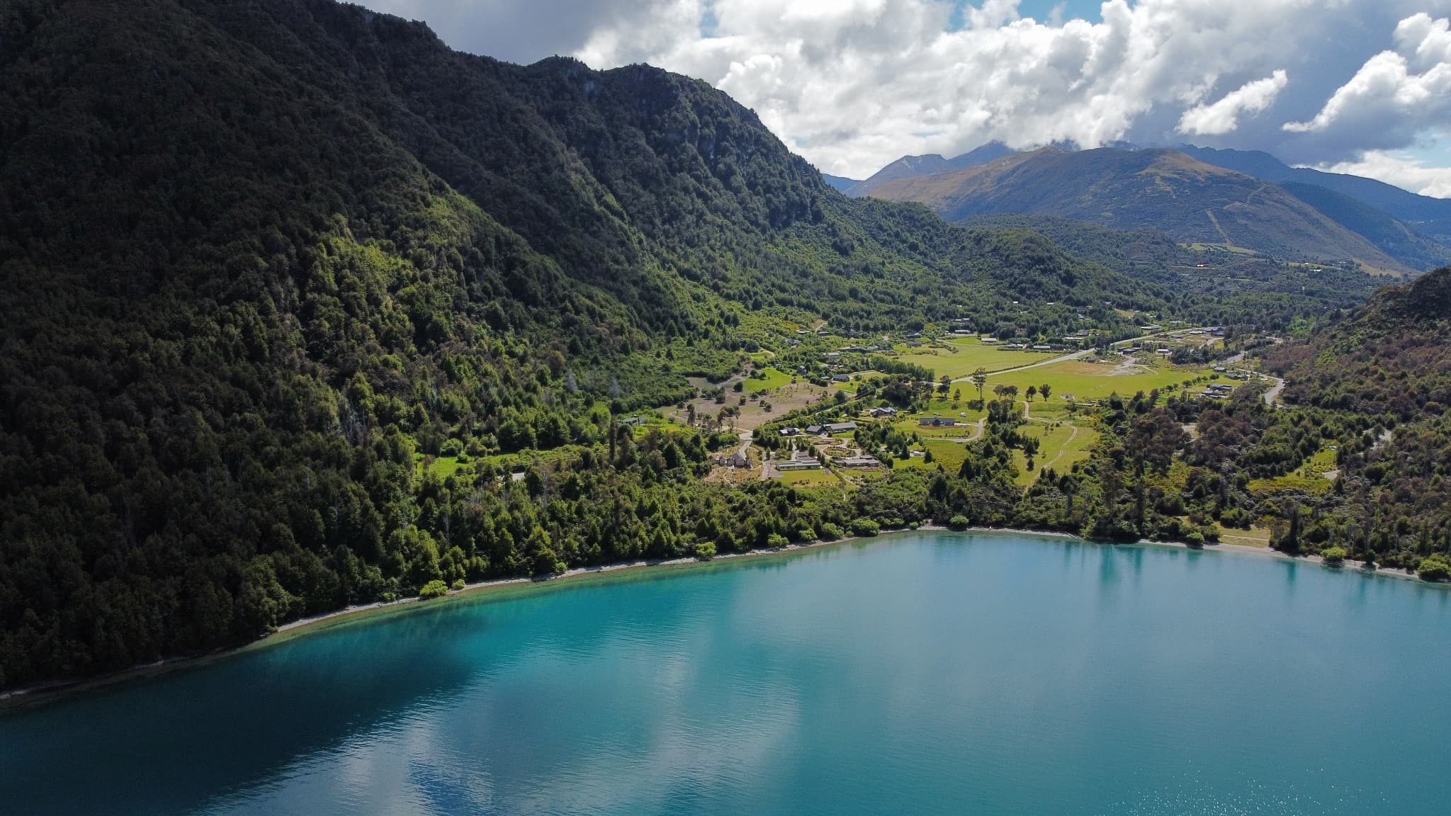 Lake edge and forested hillside meeting at Bobs Cove.